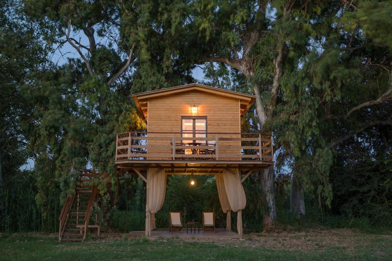 River Treehouse Laganas Ngoại thất bức ảnh