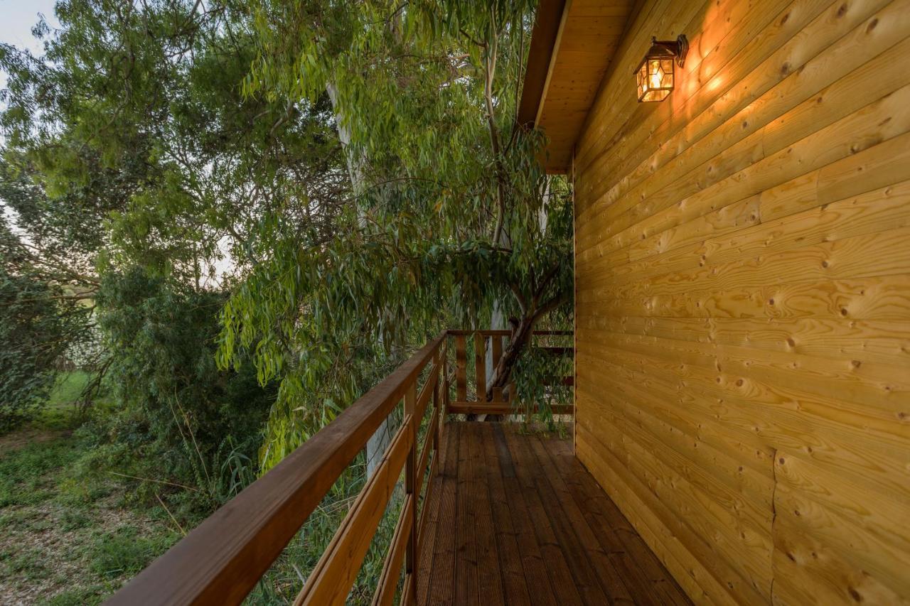 River Treehouse Laganas Ngoại thất bức ảnh