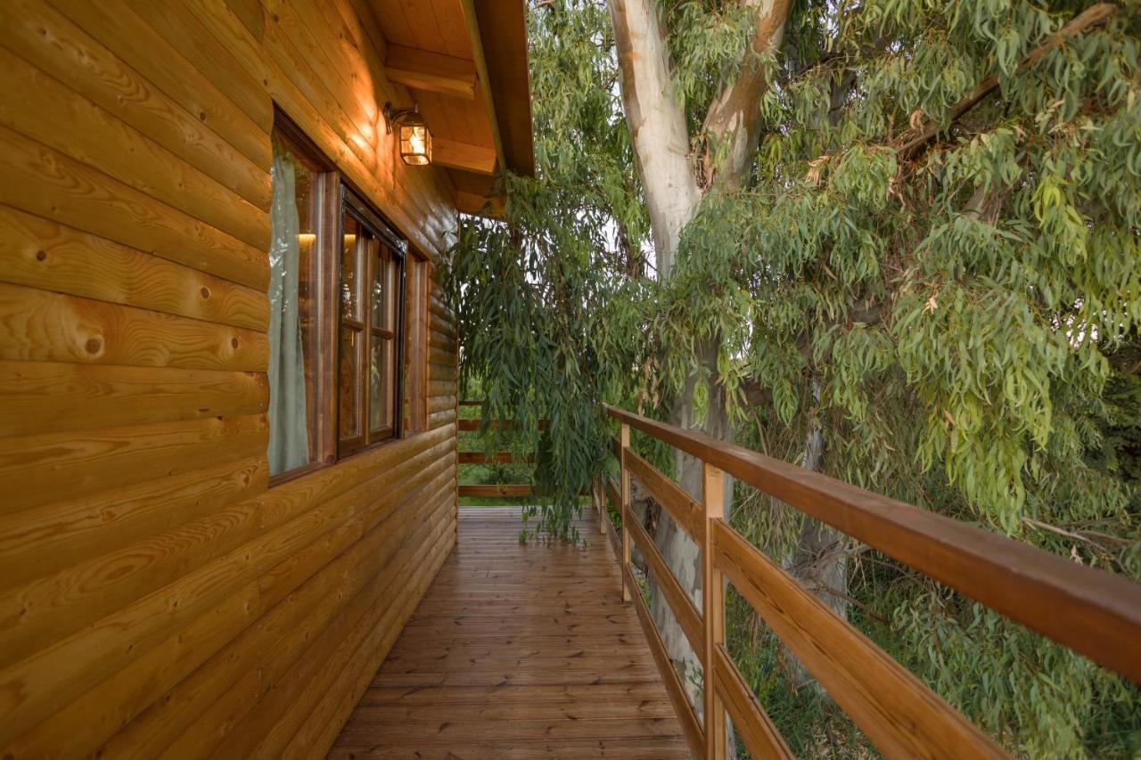 River Treehouse Laganas Ngoại thất bức ảnh