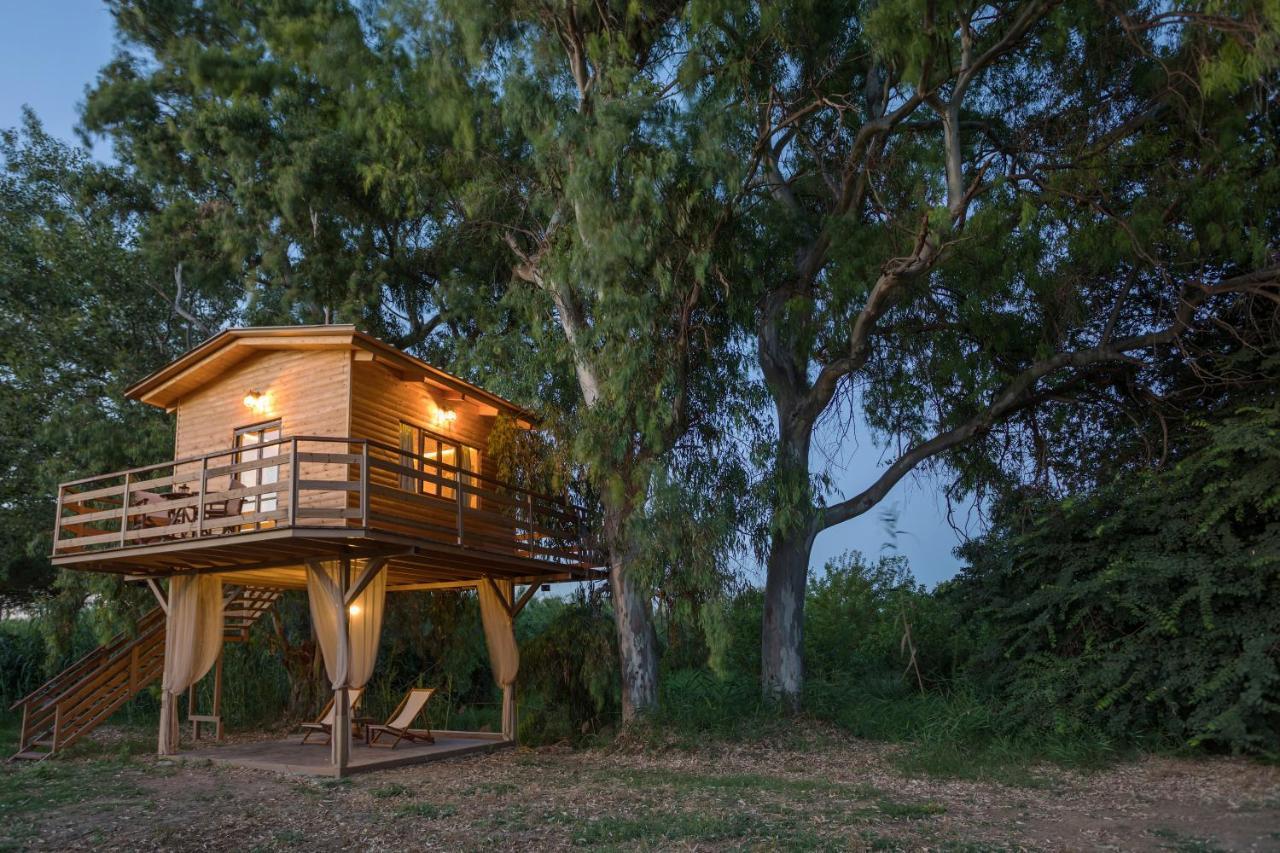 River Treehouse Laganas Ngoại thất bức ảnh
