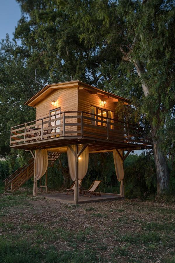 River Treehouse Laganas Ngoại thất bức ảnh