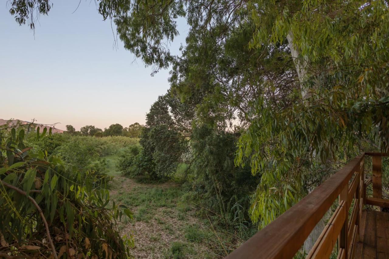 River Treehouse Laganas Ngoại thất bức ảnh