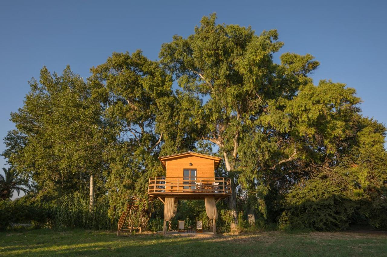 River Treehouse Laganas Ngoại thất bức ảnh