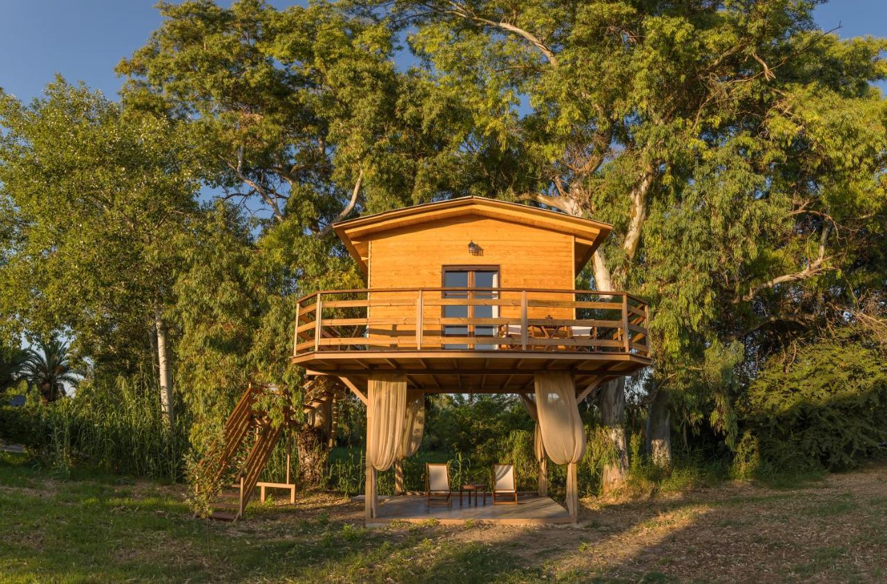 River Treehouse Laganas Ngoại thất bức ảnh