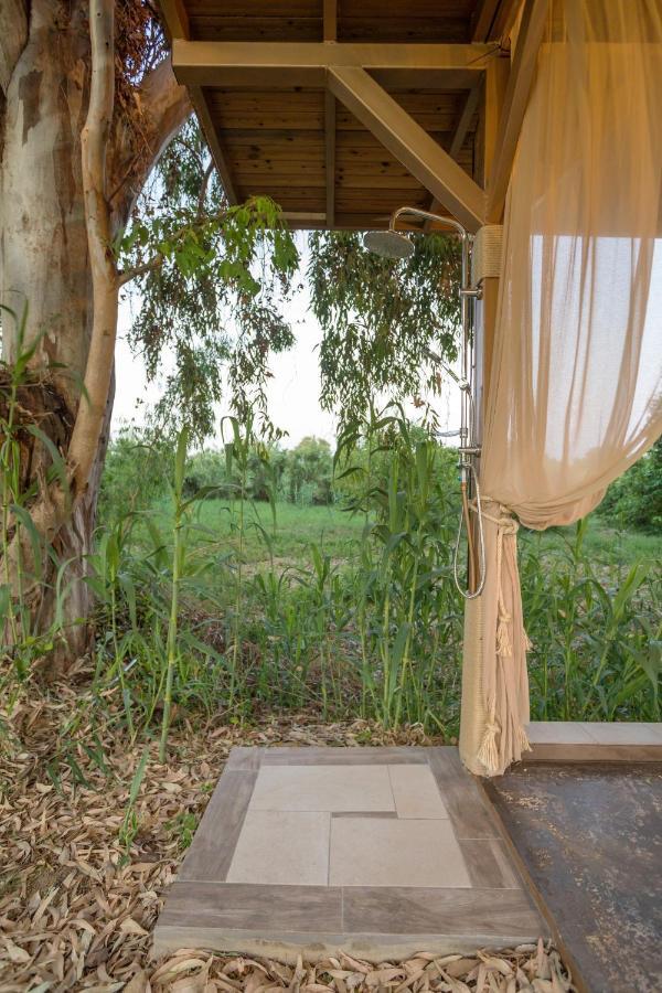 River Treehouse Laganas Ngoại thất bức ảnh
